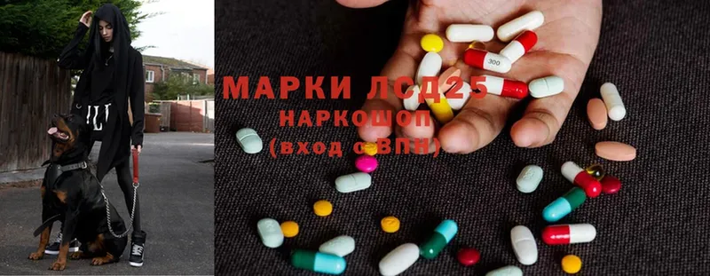 Лсд 25 экстази ecstasy  купить наркоту  Демидов 